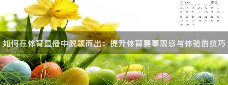 说球帝直播在线观看免费：如何在体育直播中脱颖而出：提升体育赛事观感与体验的技巧