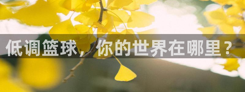 nba在线直播免费观看直播说球帝：低调篮球，你的世界在哪里？
