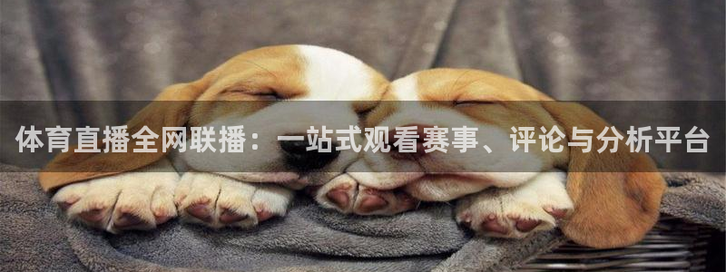 说球帝体育直播：体育直播全网联播：一站式观看赛事、评论与分析平台