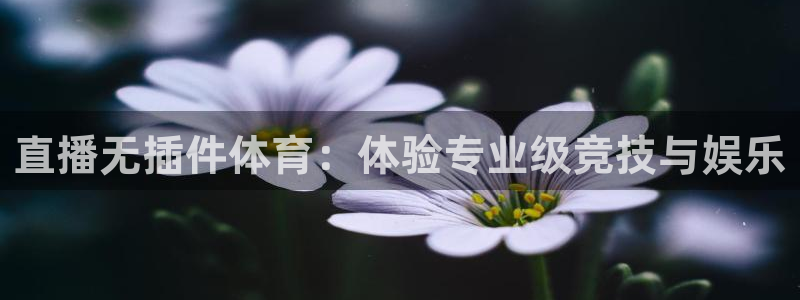说球帝体育直播免费：直播无插件体育：体验专业级竞技与娱乐