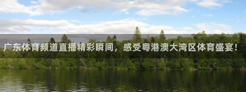 说球帝直播nba免费观看：广东体育频道直播精彩瞬间，感受粤港澳大湾区体育盛宴！