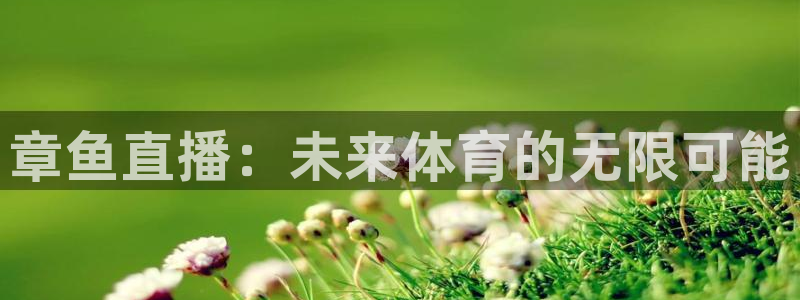 说球帝网页直播：章鱼直播：未来体育的无限可能