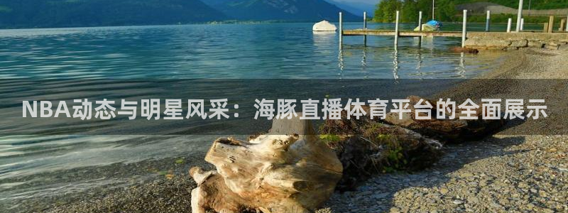说球帝体育直播在线观看：NBA动态与明星风采：海豚直播体育平台的全面展示