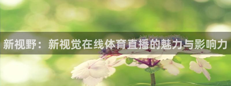 说球帝58直播：新视野：新视觉在线体育直播的魅力与影响力