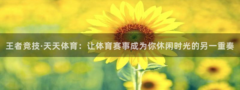 说球帝网页直播：王者竞技·天天体育：让体育赛事成为你休闲时光的另一重奏