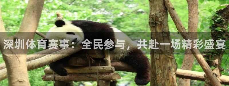 说球帝app官网下载：深圳体育赛事：全民参与，共赴一场精彩盛宴