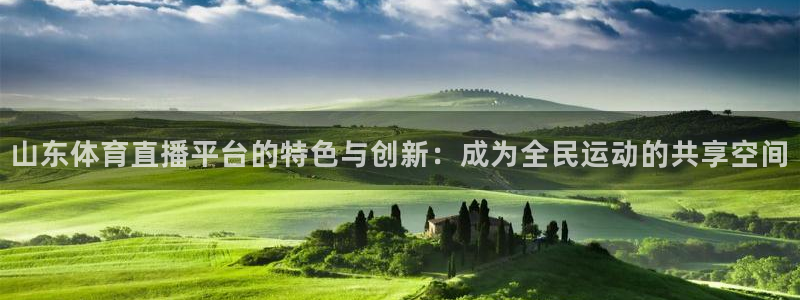 说球帝体育_足球_篮球直播：山东体育直播平台的特色与创新：成为全民运动的共享空间
