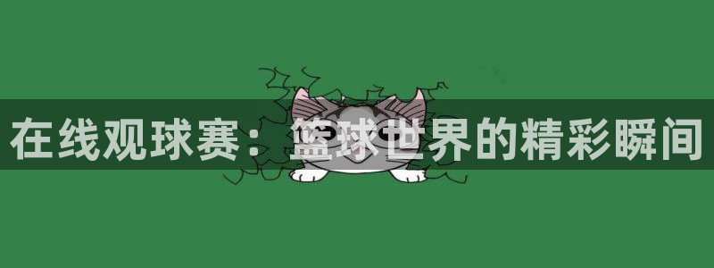 说球帝直播网：在线观球赛：篮球世界的精彩瞬间