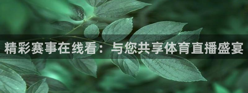 直播nba免费观看说球帝