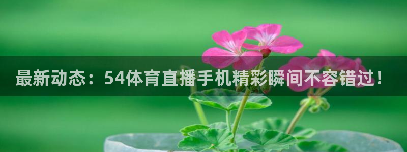 说球帝nba直播免费