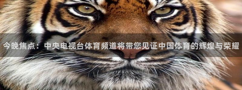 说球帝nba直播免费观看