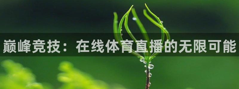 说球帝在线