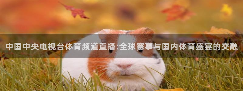 说球帝官网下载：中国中央电视台体育频道直播:全球赛事与国内体育盛宴的交融