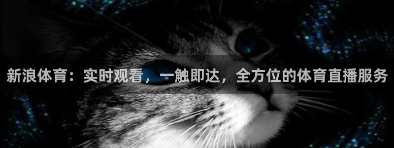 说球帝直播网：新浪体育：实时观看，一触即达，全方位的体育直播服务