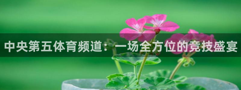 nba在线直播说球帝