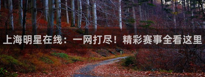 说球帝nba直播在线观看免费