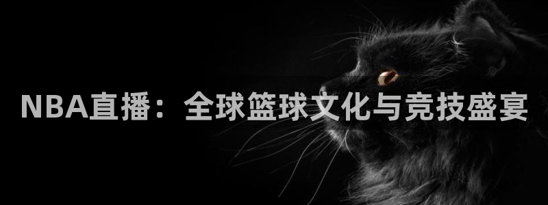 篮球直播说球帝：NBA直播：全球篮球文化与竞技盛宴
