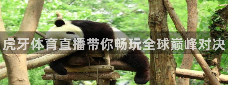 说球帝直播官网下载：虎牙体育直播带你畅玩全球巅峰对决